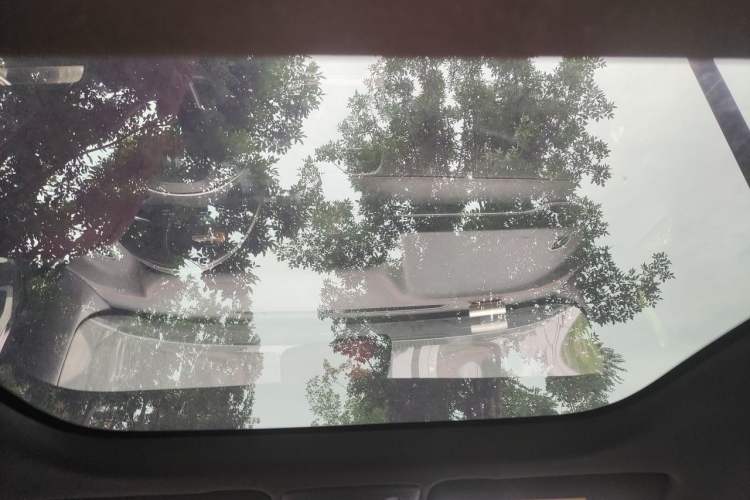 Used Leapmotor S01 2019 380 Pro Headliner