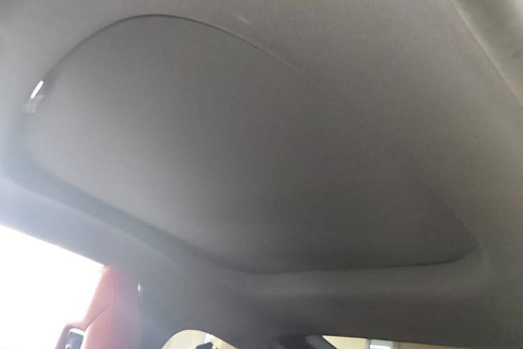 Used Leapmotor S01 2019 380 Pro Headliner