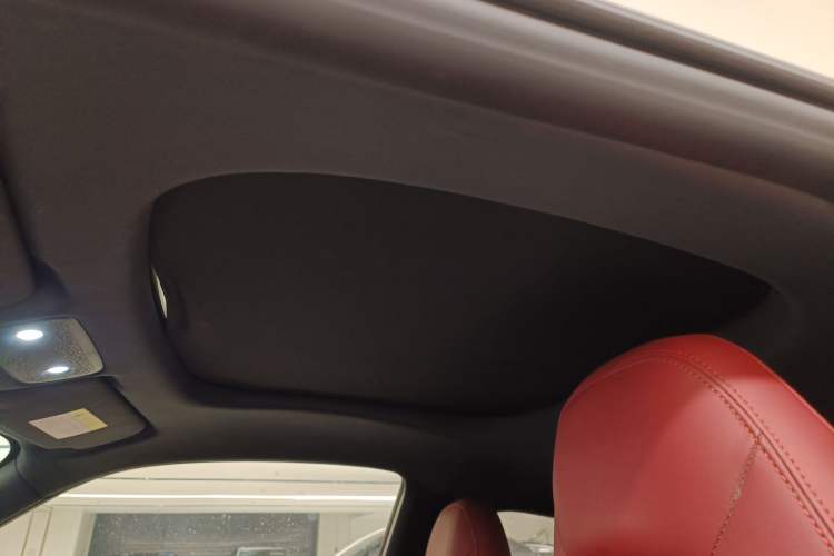 Used Leapmotor S01 2019 380 Pro Headliner