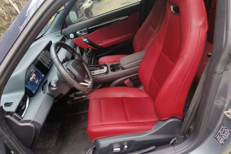 Used Leapmotor S01 2019 380 Pro Left Front Seat