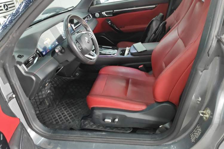 Used Leapmotor S01 2019 380 Pro Left Front Seat