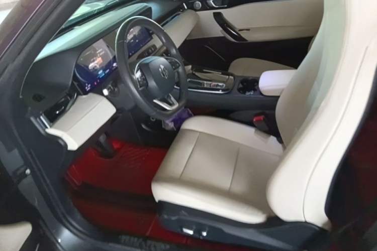 Used Leapmotor S01 2019 380 Standard Edition Left Front Seat
