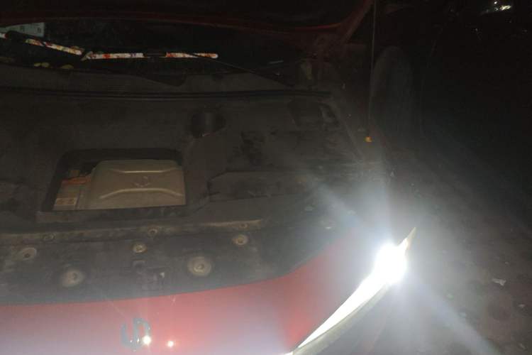 Used Leapmotor S01 2019 380 Standard Edition Engine Bay Left