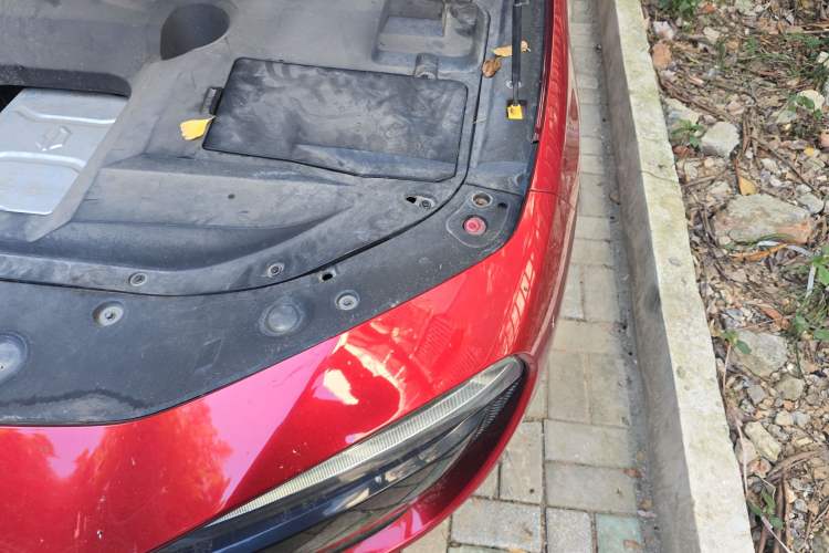 Used Leapmotor S01 2019 380 Pro Engine Bay Left