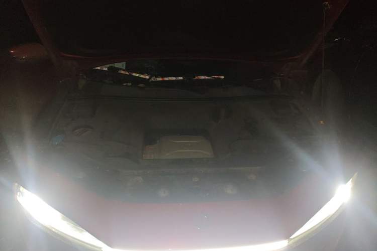 Used Leapmotor S01 2019 380 Standard Edition Engine Bay