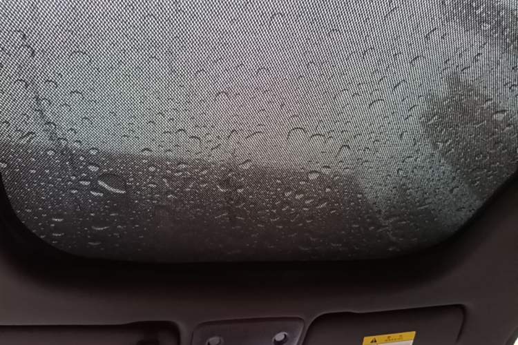 Used Leapmotor S01 2019 380 Pro Headliner