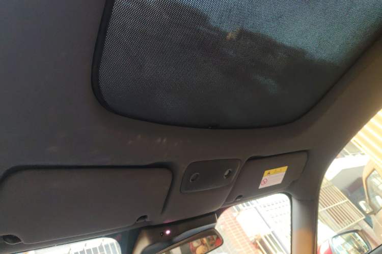 Used Leapmotor S01 2019 380 Pro Headliner