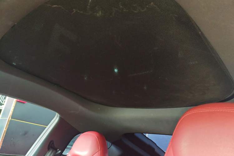 Used Leapmotor S01 2019 380 Pro Headliner