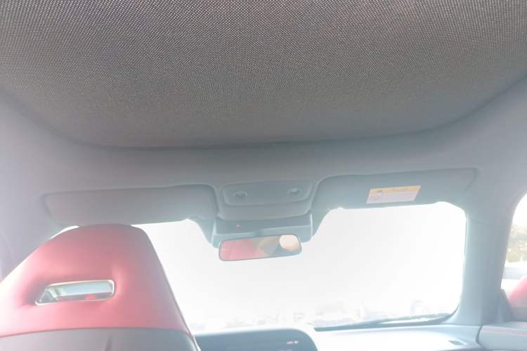 Used Leapmotor S01 2019 380 Pro Headliner