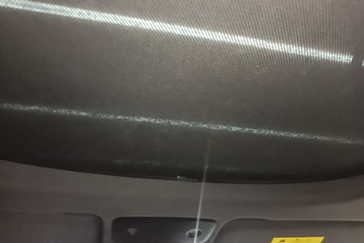 Used Leapmotor S01 2019 380 Pro Headliner