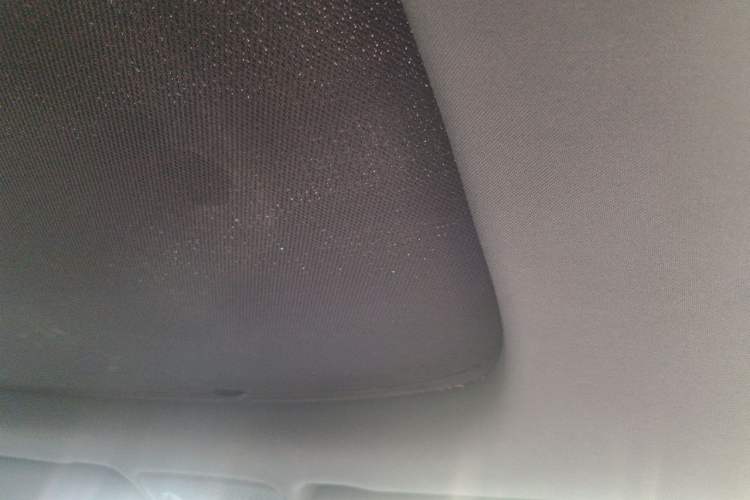 Used Leapmotor S01 2019 380 Pro Headliner