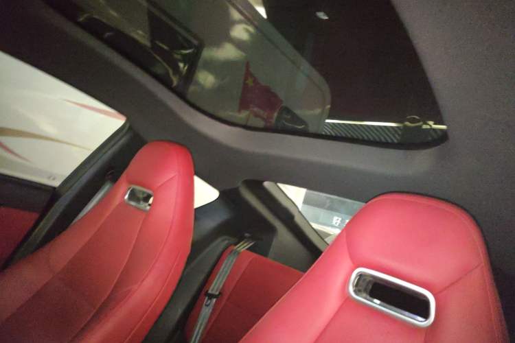 Used Leapmotor S01 2019 380 Pro Headliner
