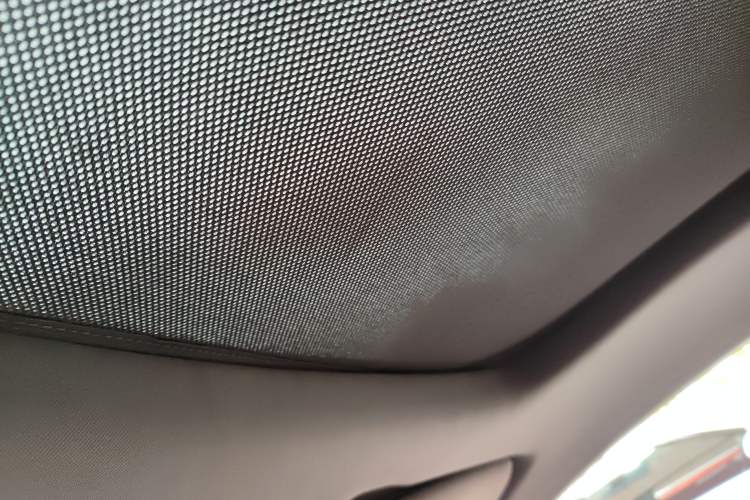 Used Leapmotor S01 2019 380 Pro Headliner
