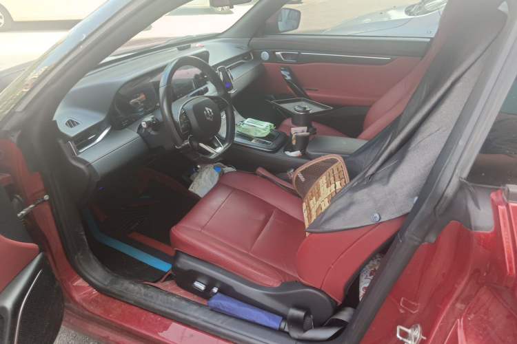 Used Leapmotor S01 2019 380 Pro Left Front Seat