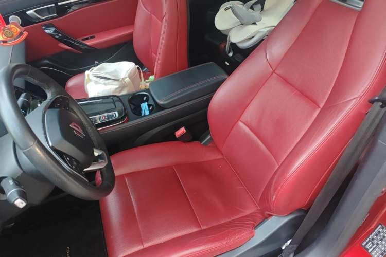 Used Leapmotor S01 2019 380 Pro Left Front Seat