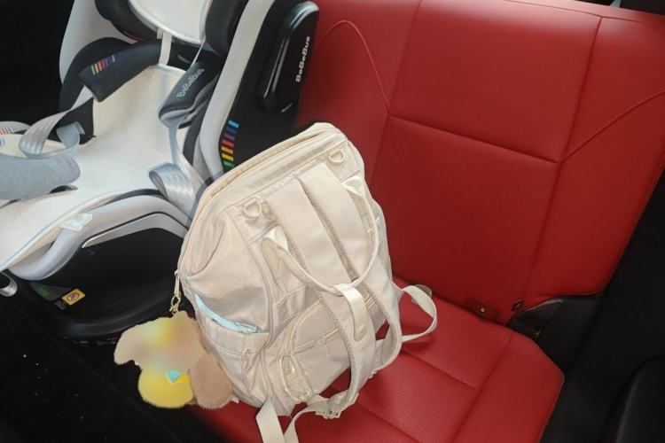 Used Leapmotor S01 2019 380 Pro Left Rear Seat
