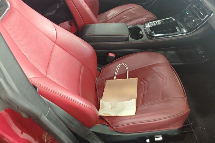 Used Leapmotor S01 2019 380 Pro Right Front Seat