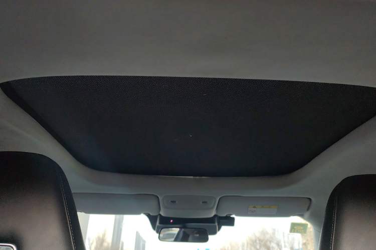 Used Leapmotor S01 2019 380 Pro Headliner