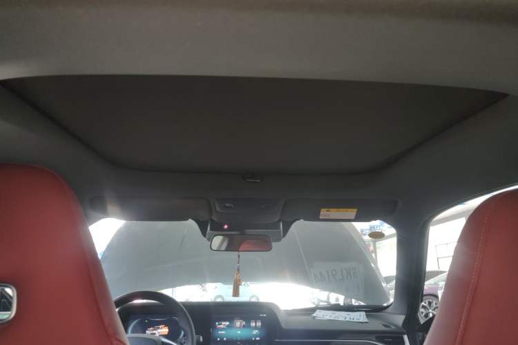 Used Leapmotor S01 2019 380 Pro Headliner