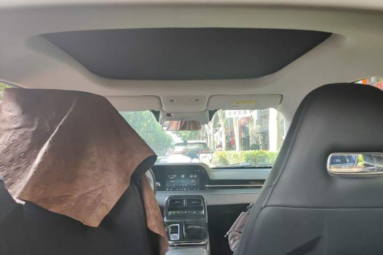 Used Leapmotor S01 2019 380 Standard Edition Headliner