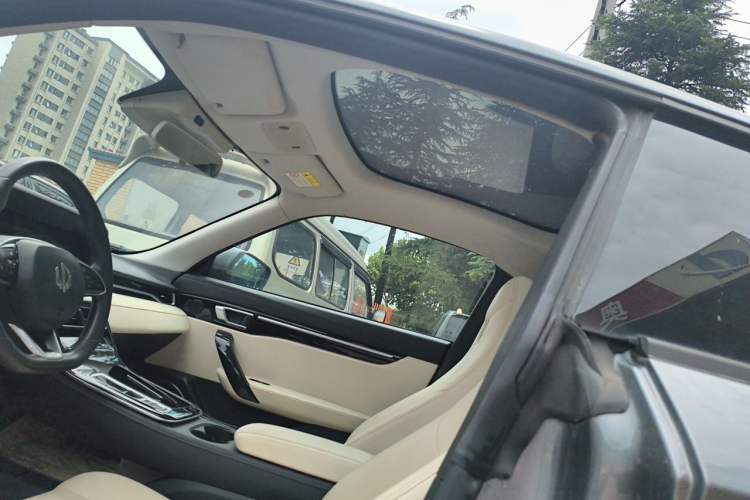 Used Leapmotor S01 2019 380 Standard Edition Headliner