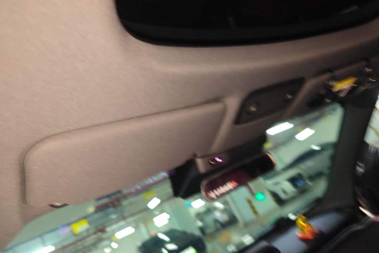 Used Leapmotor S01 2019 380 Pro Headliner