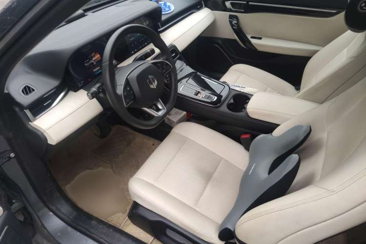 Used Leapmotor S01 2019 380 Standard Edition Left Front Seat