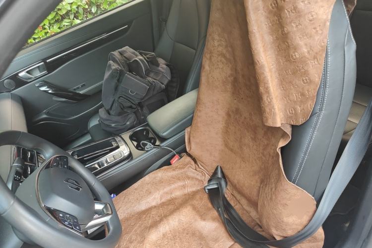 Used Leapmotor S01 2019 380 Standard Edition Left Front Seat