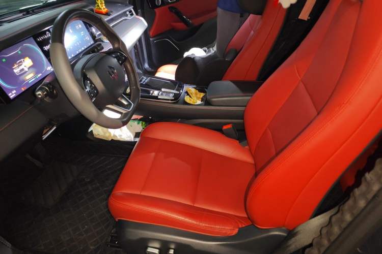 Used Leapmotor S01 2019 380 Pro Left Front Seat