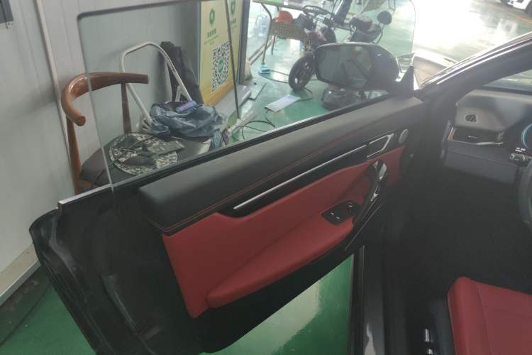 Used Leapmotor S01 2019 380 Pro Left Rear Door Interior