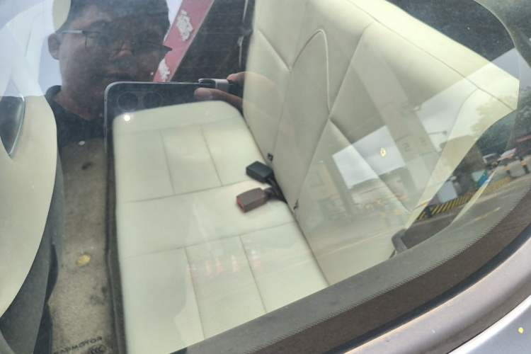 Used Leapmotor S01 2019 380 Standard Edition Left Rear Seat