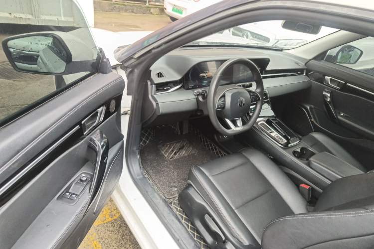 Used Leapmotor S01 2019 380 Standard Edition Driver Seat