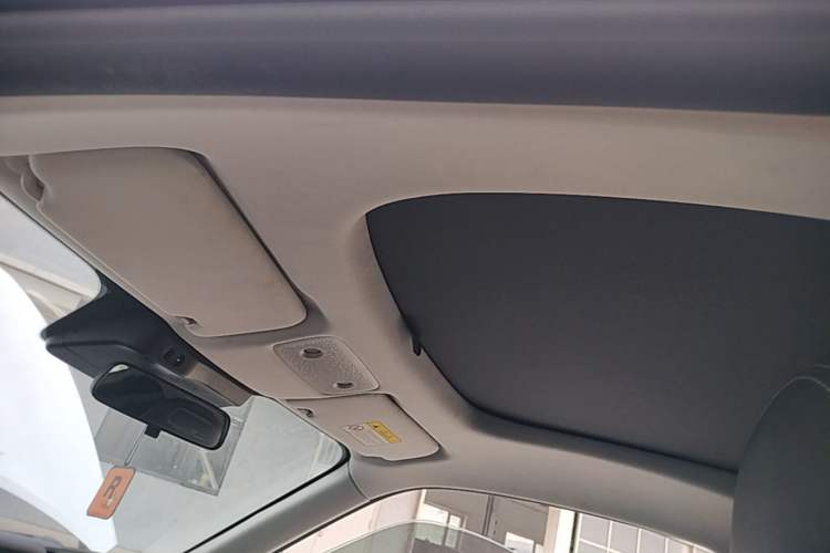 Used Leapmotor S01 2019 380 Pro Headliner