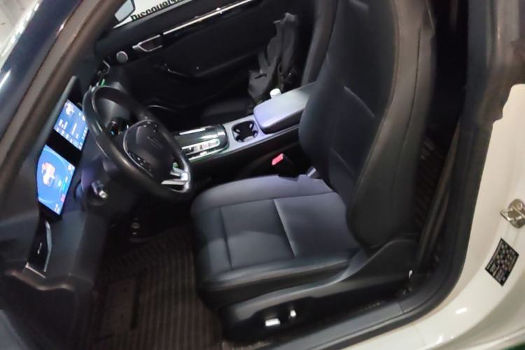 Used Leapmotor S01 2019 380 Pro Left Front Seat
