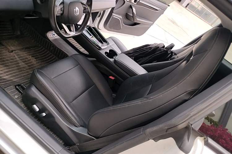 Used Leapmotor S01 2019 380 Pro Left Front Seat