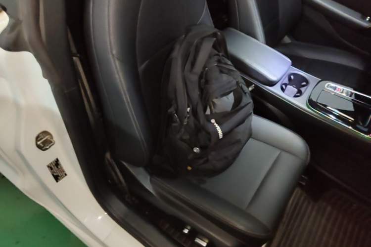 Used Leapmotor S01 2019 380 Pro Right Front Seat