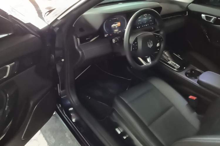 Used Leapmotor S01 2020 460 Standard Edition Driver Seat