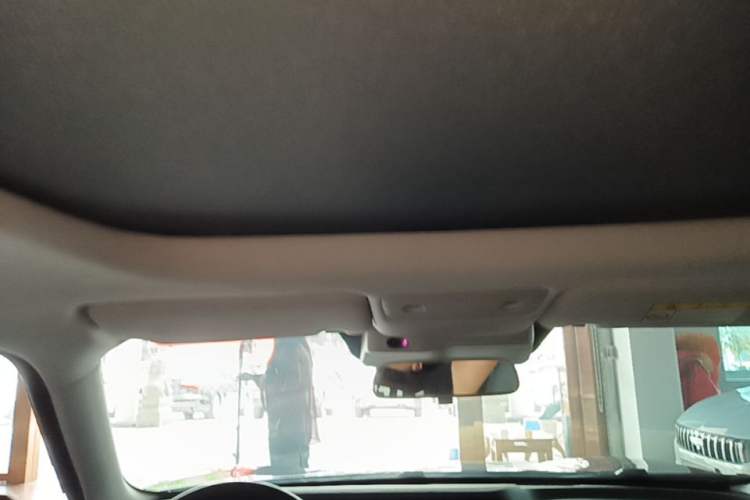 Used Leapmotor S01 2020 460 Standard Edition Headliner