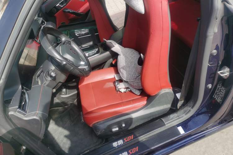Used Leapmotor S01 2020 460 Standard Edition Left Front Seat