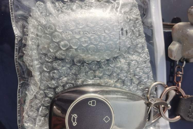 Used Leapmotor S01 2020 460 Standard Edition Vehicle Key