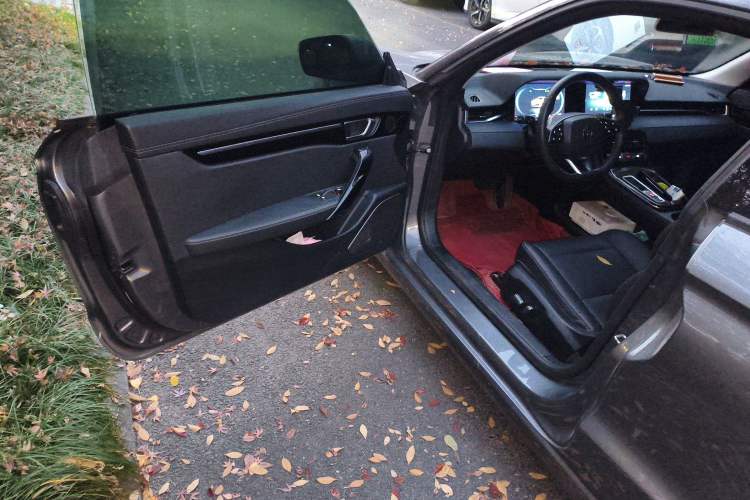 Used Leapmotor S01 2020 460 Standard Edition Driver Seat