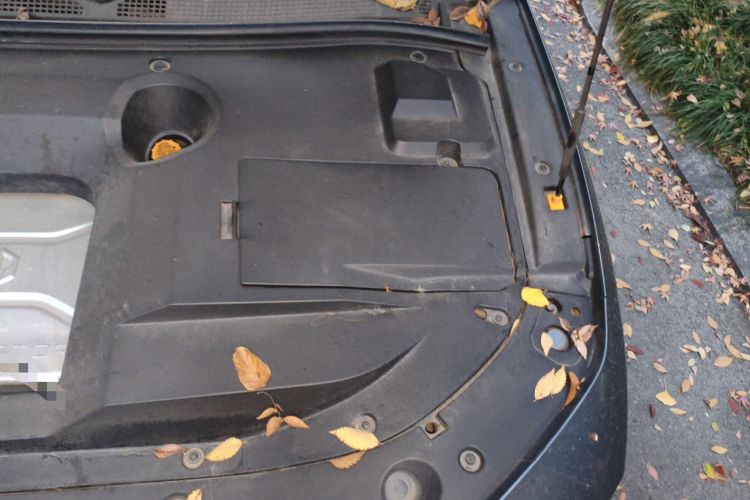 Used Leapmotor S01 2020 460 Standard Edition Engine Bay Left