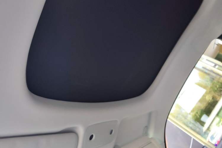 Used Leapmotor S01 2020 460 Pro Headliner