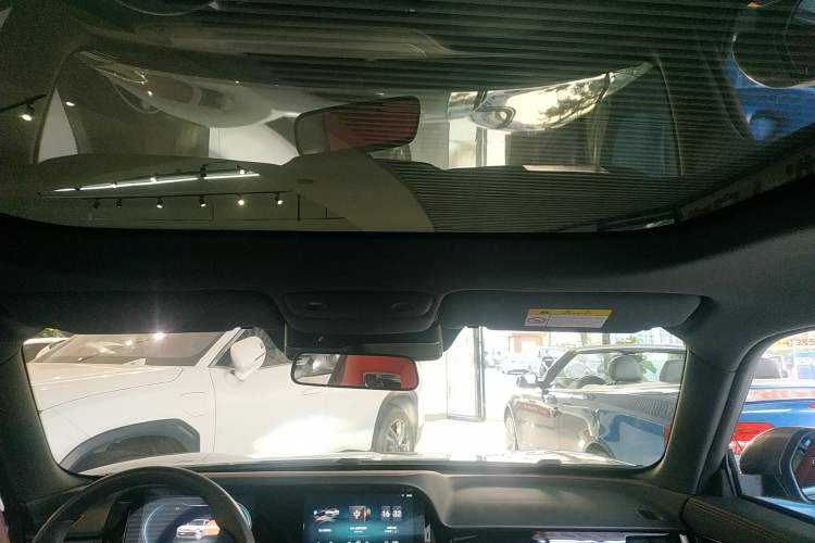 Used Leapmotor S01 2020 460 Standard Edition Headliner