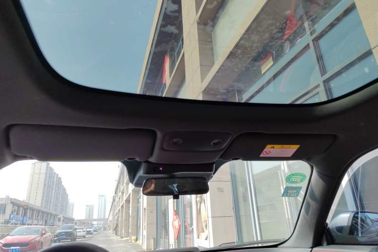 Used Leapmotor S01 2020 460 Pro Headliner