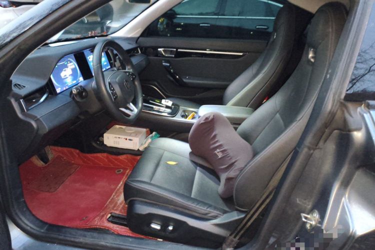 Used Leapmotor S01 2020 460 Standard Edition Left Front Seat