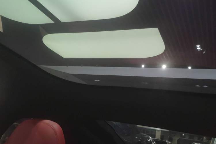 Used Leapmotor S01 2020 460 Pro Headliner