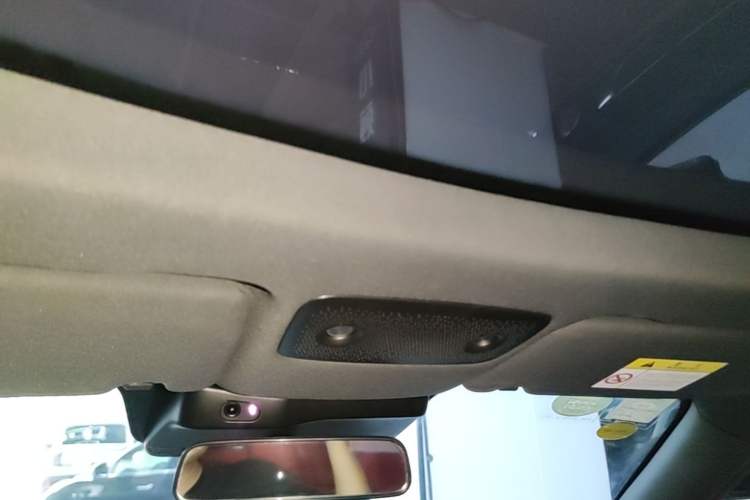 Used Leapmotor S01 2020 460 Pro Headliner