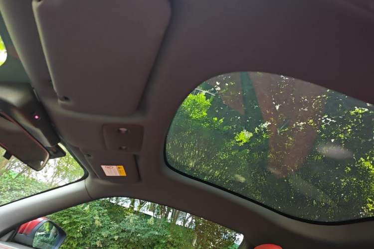 Used Leapmotor S01 2020 460 Pro Headliner