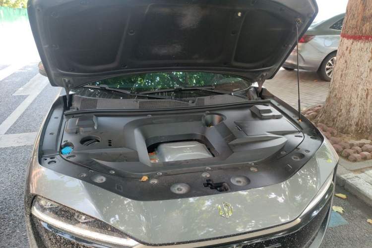 Used Leapmotor S01 2020 460 Standard Edition Engine Bay